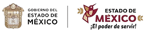 https://hirseguros.mx/wp-content/uploads/2026/05/HIRseguros-GEM-logoGEM-02-300x000-1.png